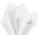 Customers also bought 20X20 MATTE WHITE METALLIC SHEETS product image 