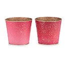 Related Product Image for 6&quot; EMBOSSED ROSES TIN POT COVER 