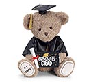 Related Product Image for PLUSH GRADUATION BEAR #1 GRAD 