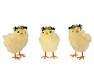 Related Product Image for 12 LITTLE YELLOW CHICKS 