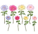 Related Product Image for SILK EXTRA LARGE AND LARGE PEONIES 