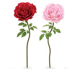 SILK EXTRA LARGE RED AND PINK ROSES