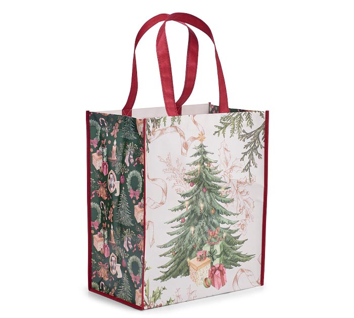 Burton & Burton Santa Tote
