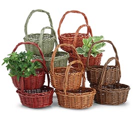 FALL WILLOW BASKETS IN 5 COLORS/2STYLES