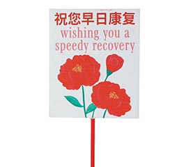 PICK CHINESE WISHING YOU A SPEEDY