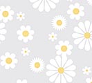 WHITE DAISIES ON CLEAR CELLO SHEETS