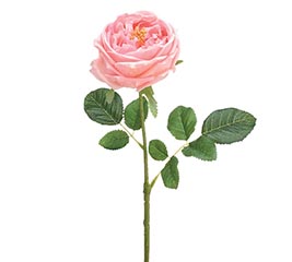 SILK SINGLE PINK PEONY BLOOM ON STEM