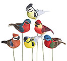 COLORFUL ASSORTED BIRD PICK SET