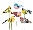 COLORFUL ASSORTED BIRD PICK SET