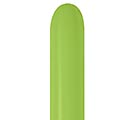 Related Product Image for 260B SEMPERTEX DELUXE KEY LIME 