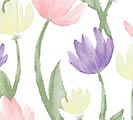 TULIP SPRING WISHES CELLOPHANE ROLLS