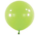 Related Product Image for 24&quot; ANAGRAM FASHION KIWI LATEX 4 PACK 