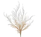 Related Product Image for PAMPAS GRASS 