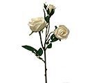 Customers also bought SILK ENGLISH GARDEN ROSE X3 product image 