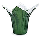 KWIK-COVER 6&quot; PEARL MOSS GREEN WHITE