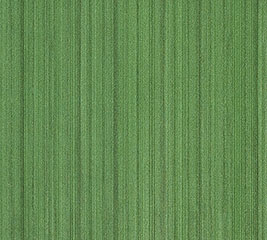 RIBBON-EMERALD LEAF