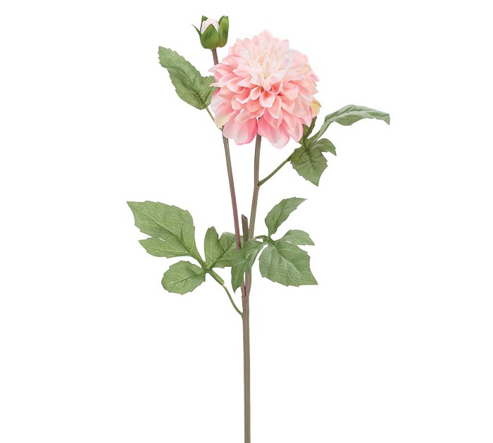 SILK GARDEN DAHLIA PEACH