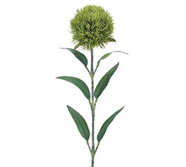 SILK GREEN TRICK DIANTHUS