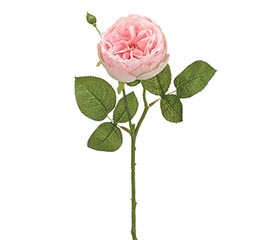 SILK GARDEN ENGLISH ROSE PINK