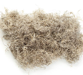 FLORAL-SPANISH MOSS