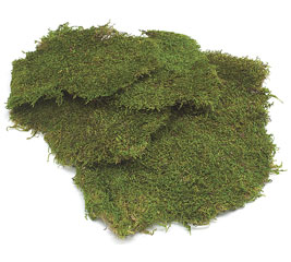 FLORAL SHEET MOSS