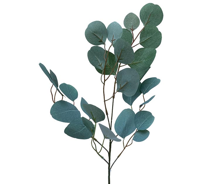 Floral Eucalyptus Branch