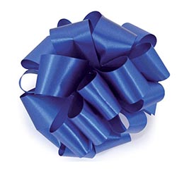#40 ROYAL FLORA-SATIN RIBBON